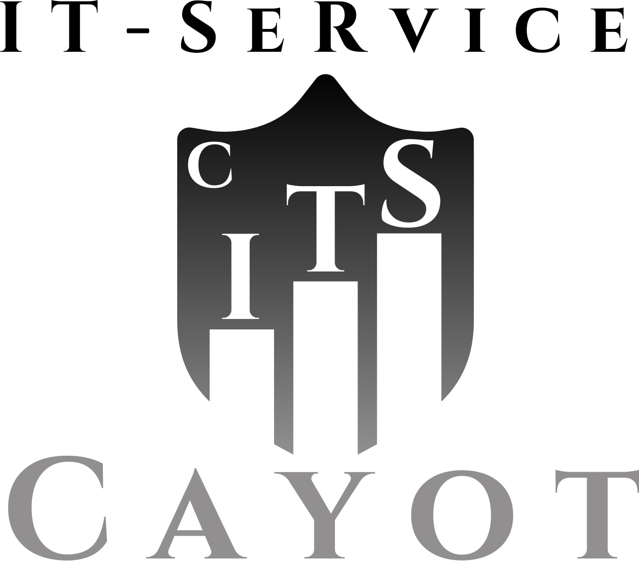 Cayot IT Service